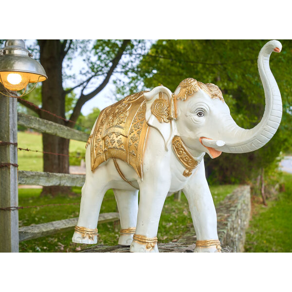 🐘 White & Gold Decorative Elephant Rentals